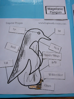 Penguin Lapbook