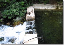 izvor