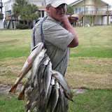 One Heavy stringer....
