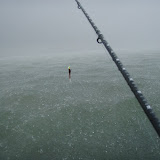 Sea Devil in the rain
