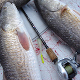 Nice redfish caught by Darrin on the Glow Sea Devil