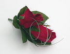 CRW_3493.jpg