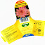 Pink Marguerite daisy