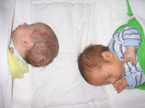 The Boys Share A Bed