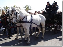 DSC00670 (Small)
