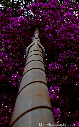 redcliffe 13th march 049_cropped