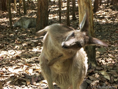 AustraliaZoo_24_10_2007 198