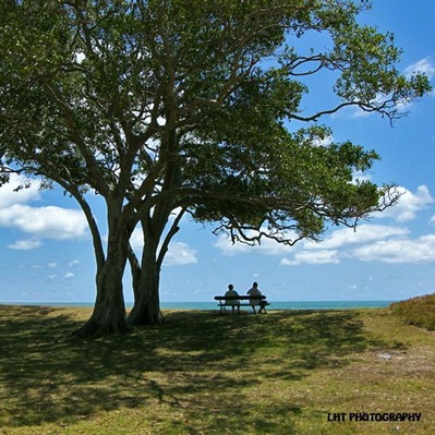 friends at hervey bay