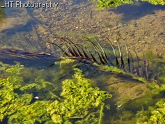 100_0388_resize
