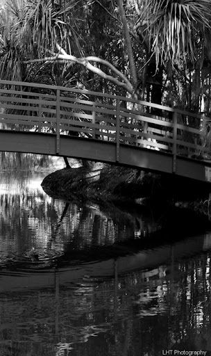 100_0431_blackandwhite_cropped
