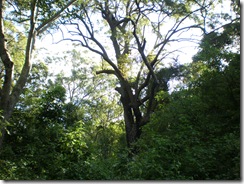 2nd April 2008 009