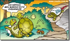 vagarosa6