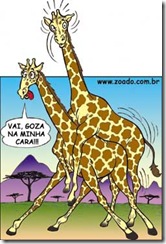 sexonasa5