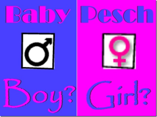 boygirl_forum