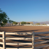 Arena Right - RiataRake