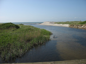 Doorbraak door de duinen op Falsterbo