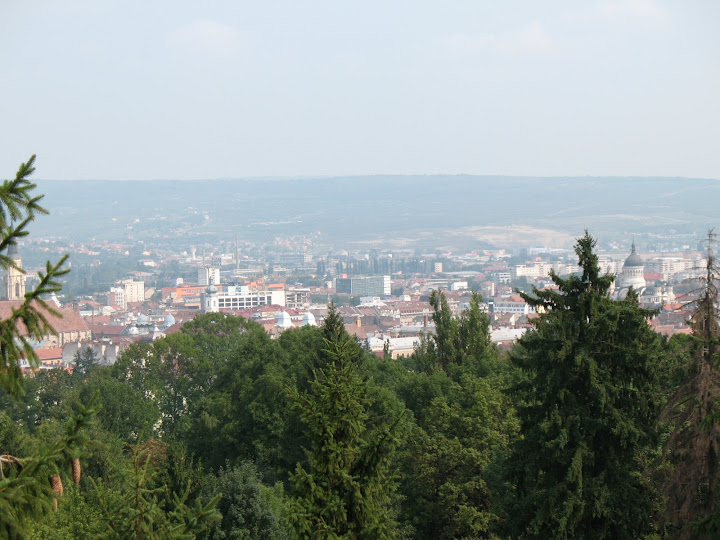 Cluj from the botanical gardens