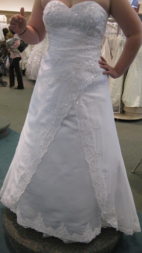 best plus size bridal gown~wedding dress