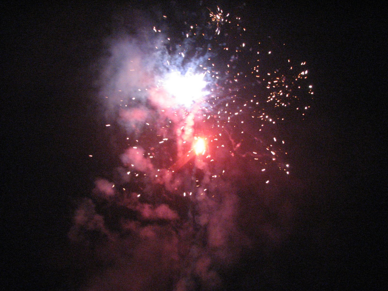 silvester pictures