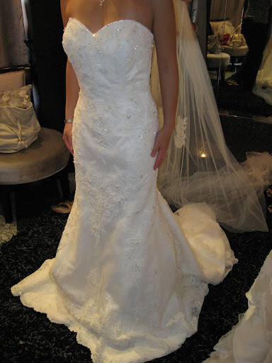 white-wedding-dress/bridal-gown