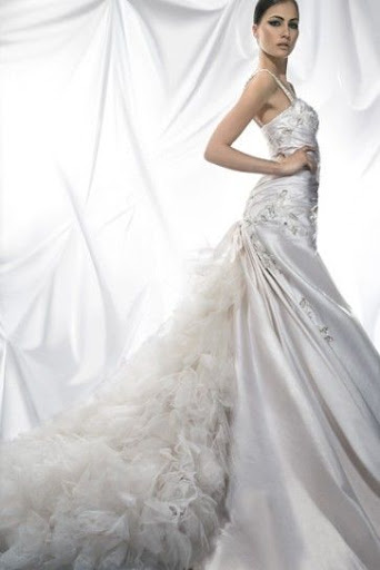 Famous Bridal Gowns 2010