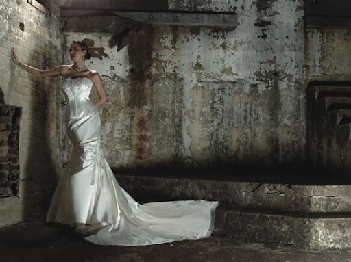 Elegant Wedding Dress Picture