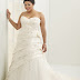 Plus Size Wedding Dress ; Which Best Design For Brides ?