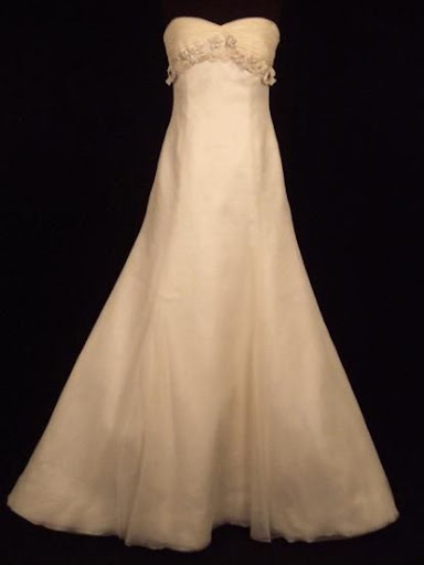 Vera Wang Bridal Gown