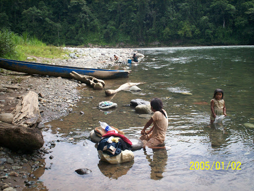 R�o Changuinola de aguas intactas