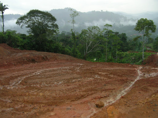 Deforestacion y erosion producen las carreteras en areas protegidas
