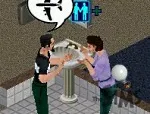 The Sims, where you can chat in the bathroom!