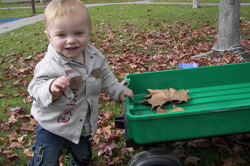 Leaves all around