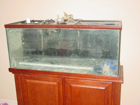 DSC04603.JPG