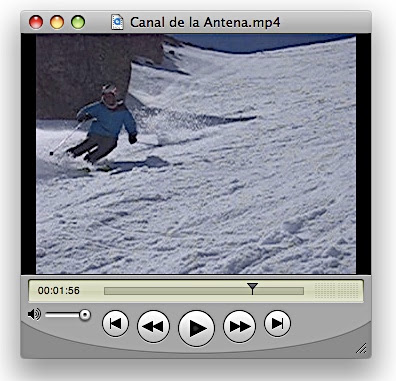 Archivo Adjunto: