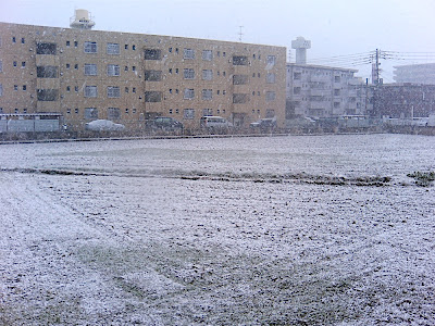 arrozal arroz campo 田んぼ rice field nieve snow 雪