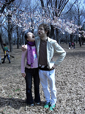 yoyogi 代々木 sakura cerezo flores cherry blossoms 桜 hanami 花見