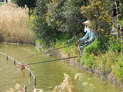 hanami 花見 parque 公園 park pescar つり 釣り fishing