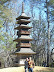 2007-03-FortWorthAndreasOlga-18.jpg