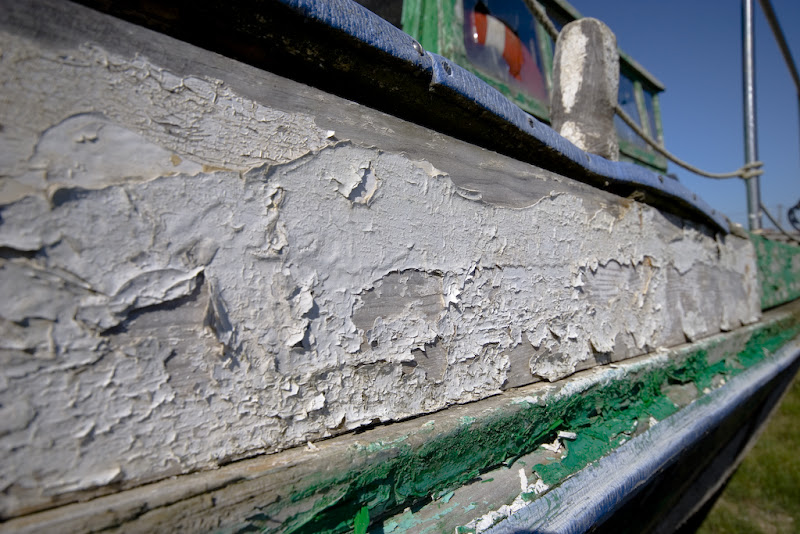 IMAGE: http://lh6.google.com/alistairksmith/Ru7d08lMd9I/AAAAAAAACi0/Z0i_5BFOGdU/s800/IMG_8458.jpg