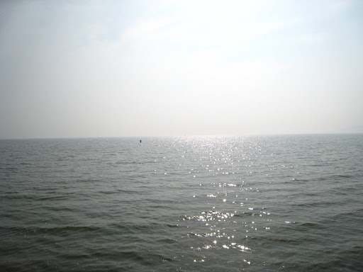 http://lh6.google.com/anikox/R-BrmCBpNkI/AAAAAAAABh4/Fl77h-qLSfQ/IMG_1954.JPG?imgmax=512