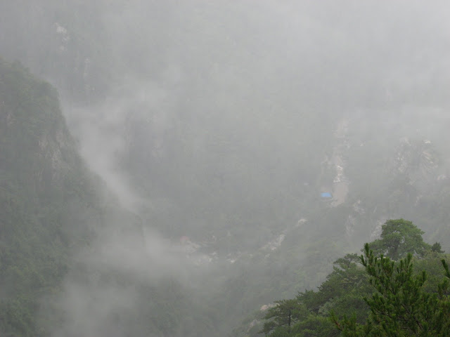 http://lh6.google.com/anikox/RtQVTGLJltI/AAAAAAAAAwg/Lp5BY4bVRj0/IMG_0895.JPG?imgmax=640
