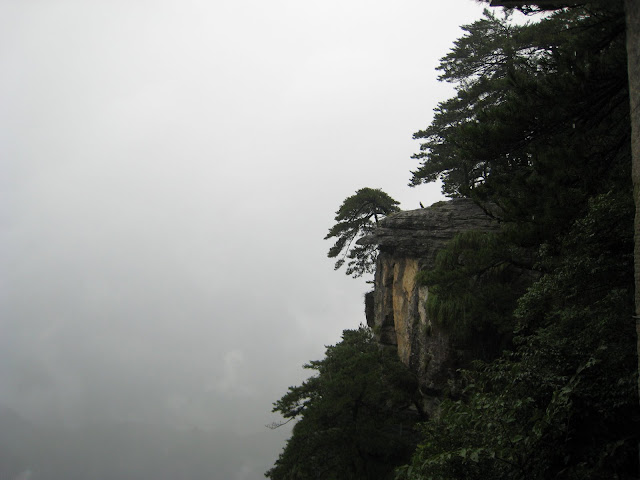 http://lh6.google.com/anikox/RtQViGLJlzI/AAAAAAAAAxQ/2j-Zd_dNRjA/IMG_0909.JPG?imgmax=640