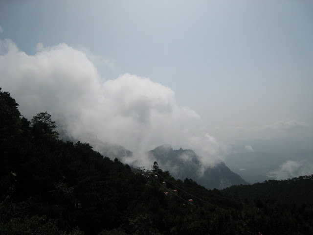 http://lh6.google.com/anikox/RtQYXGLJmcI/AAAAAAAAA28/7IEE1XMSYVE/IMG_1000.JPG?imgmax=640