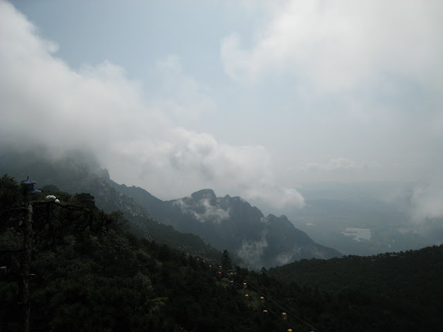 http://lh6.google.com/anikox/RtQYdGLJmgI/AAAAAAAAA3c/LtU_eHeF53M/IMG_1006.JPG?imgmax=640