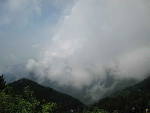 http://lh6.google.com/anikox/RtQYqGLJmnI/AAAAAAAAA4U/QuRk48pZtkA/IMG_1015.JPG?imgmax=640