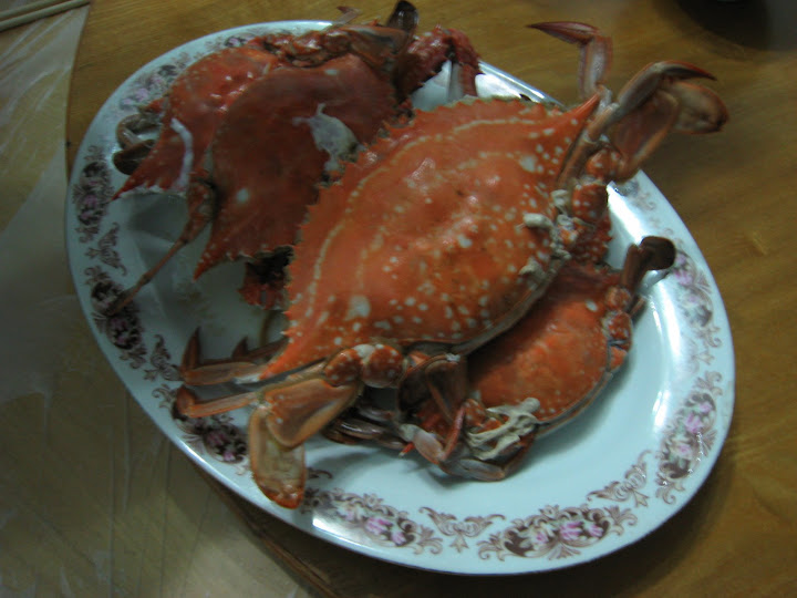 http://lh6.google.com/anikox/RxHFicnrsSI/AAAAAAAABAg/kwz4ubouf-c/IMG_1296.JPG?imgmax=720