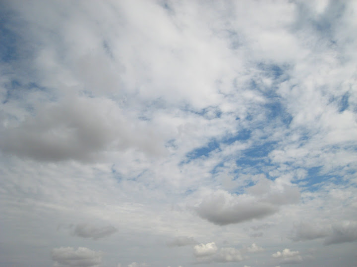 http://lh6.google.com/anikox/RxHH6cnruNI/AAAAAAAABQQ/Gxhtxhnd2zY/IMG_1498.JPG?imgmax=720