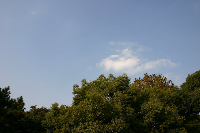 http://lh6.google.com/anikox/RzfqxDP-1bI/AAAAAAAABVA/XQy2KaKUuXc/IMG_0126.jpg?imgmax=640