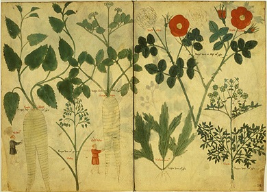 E3FBCA85-18A8-4693-B3D3-8EA14527F74B.jpg