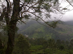 31082007205.jpg